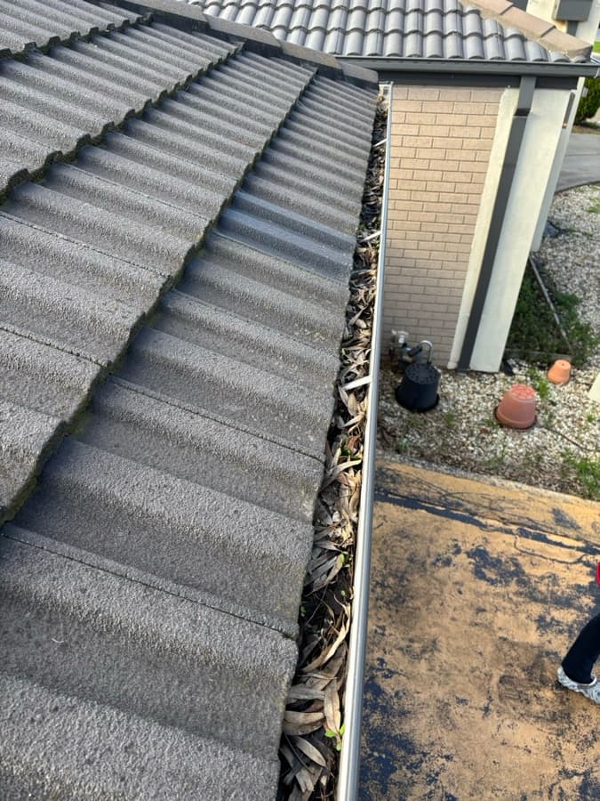 Leaf buildup in a gutter example by SS Exterior Services in Kilmore and Mitchell Shire