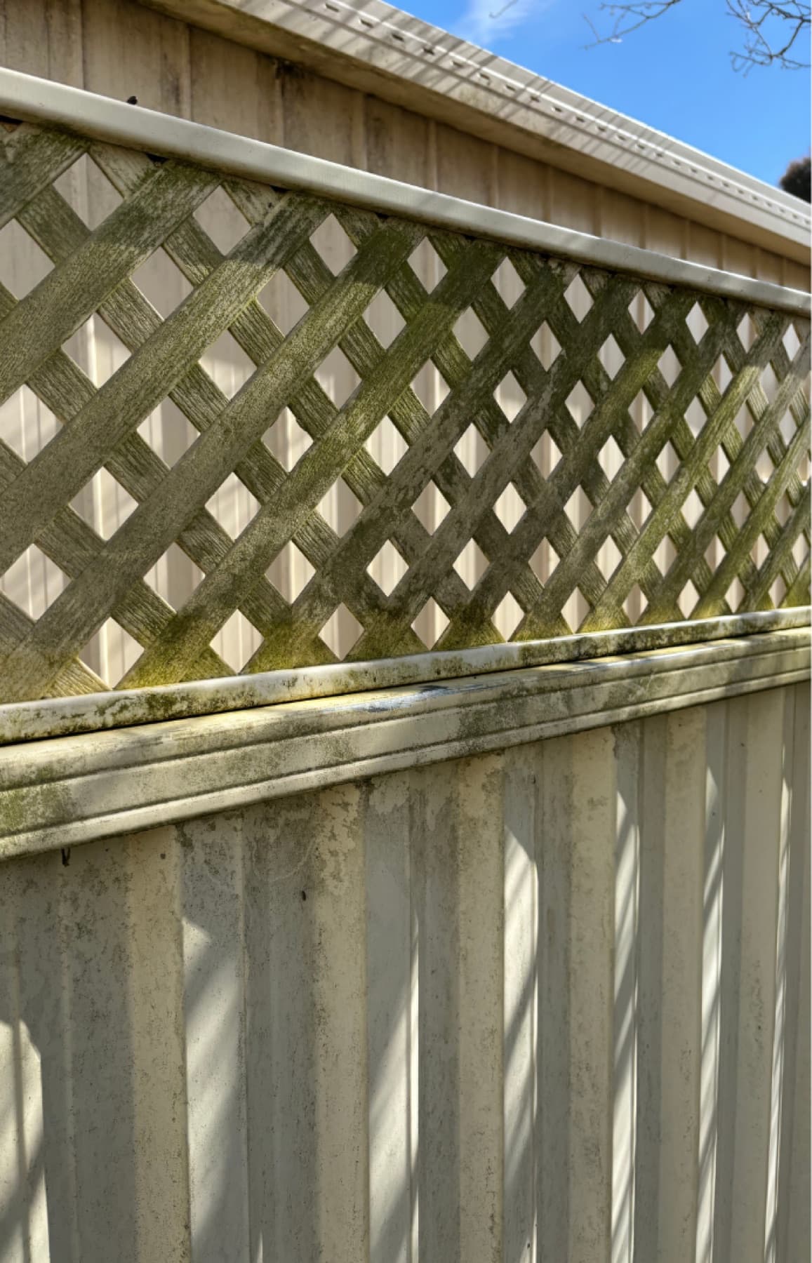 Organic growth on a fence example by SS Exterior Services in Kilmore and Mitchell Shire