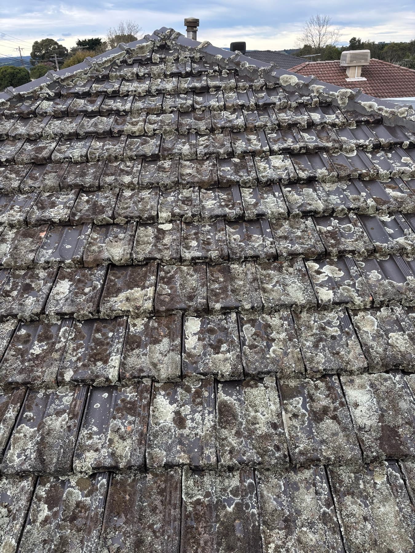 Delicate roof material example by SS Exterior Services in Kilmore and Mitchell Shire