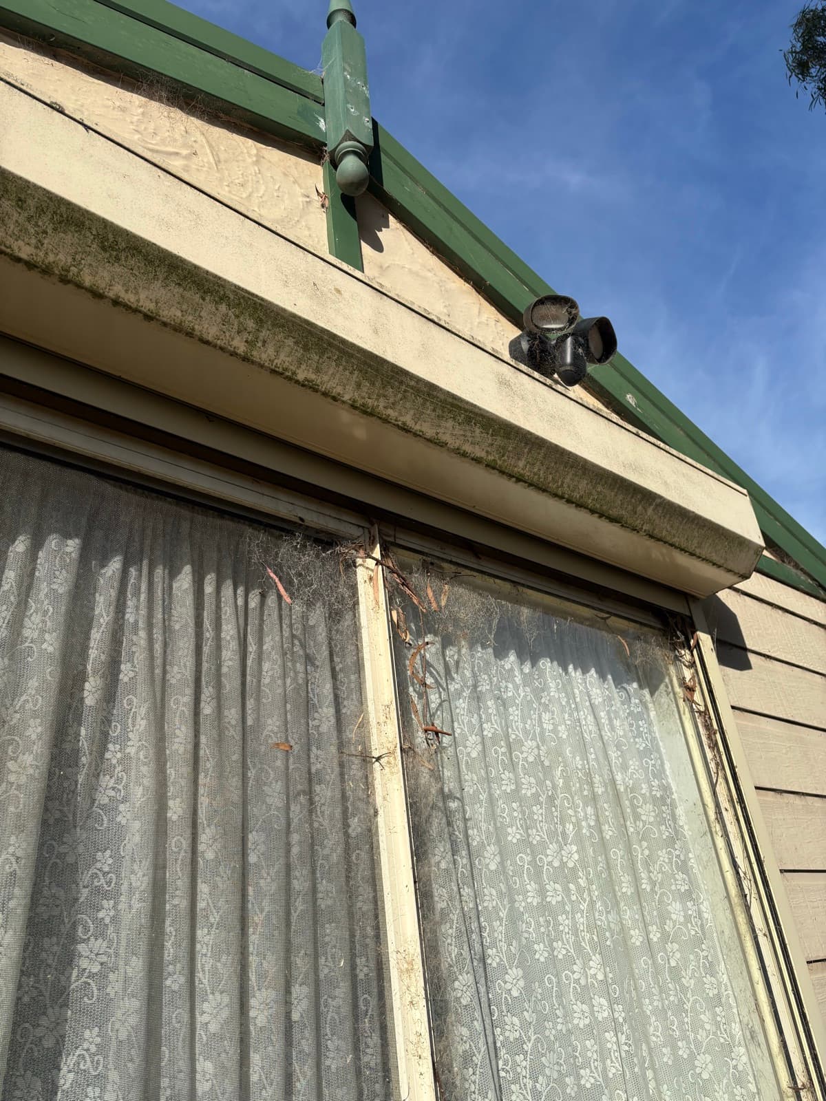 House washing cobweb and surface buildup example by SS Exterior Services in Kilmore and Mitchell Shire